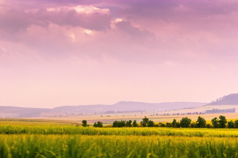 Give back the land! And then what?